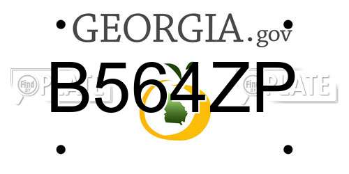 B564ZP Georgia License Plate