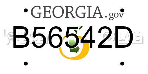 B56542D Georgia License Plate