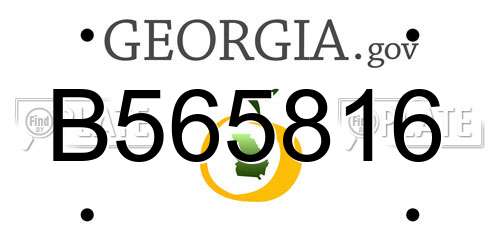 B565816 Georgia License Plate