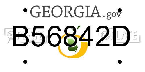 B56842D Georgia License Plate