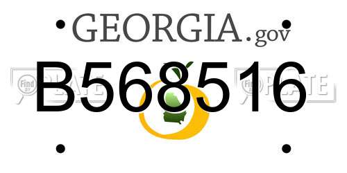 B568516 Georgia License Plate