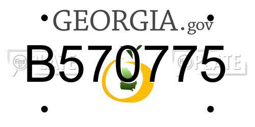 B570775 Georgia License Plate