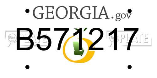 B571217 Georgia License Plate