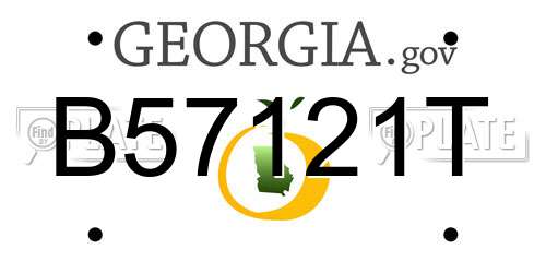 B57121T Georgia License Plate