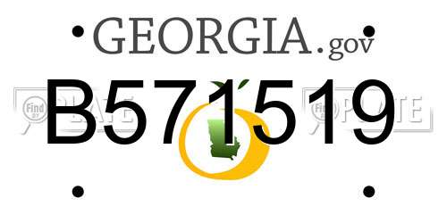 B571519 Georgia License Plate