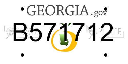 B571712 Georgia License Plate