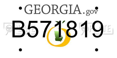 B571819 Georgia License Plate