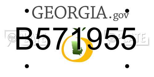 B571955 Georgia License Plate