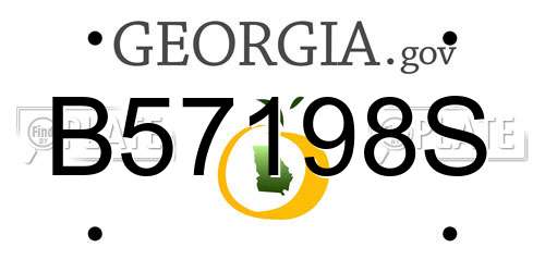 B57198S Georgia License Plate