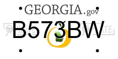 B573BW Georgia License Plate