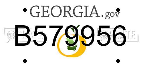 B579956 Georgia License Plate