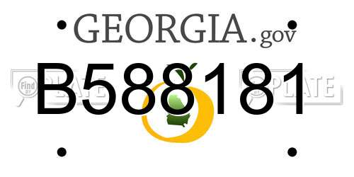 B588181 Georgia License Plate