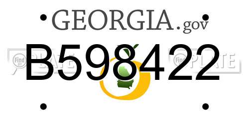 B598422 Georgia License Plate