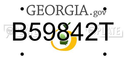 B59842T Georgia License Plate