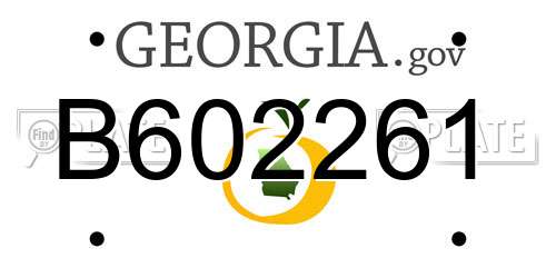 B602261 Georgia License Plate