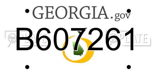 B607261 Georgia License Plate