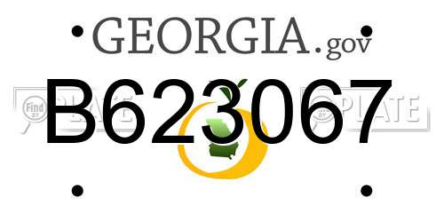 B623067 Georgia License Plate