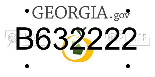 B632222 Georgia License Plate