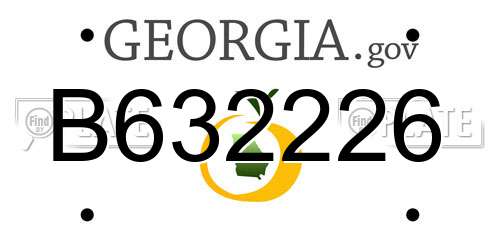 B632226 Georgia License Plate
