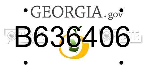 B636406 Georgia License Plate