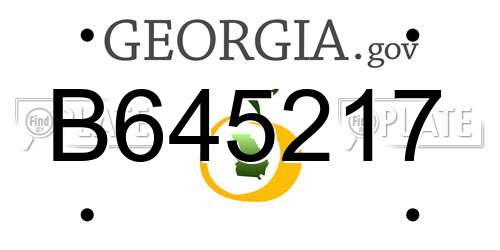 B645217 Georgia License Plate