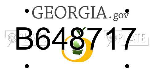 B648717 Georgia License Plate