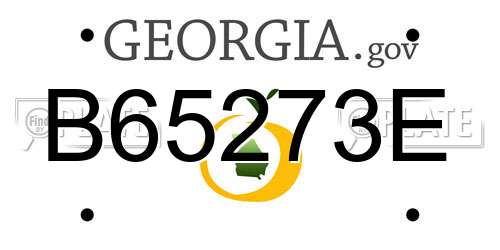 B65273E Georgia License Plate