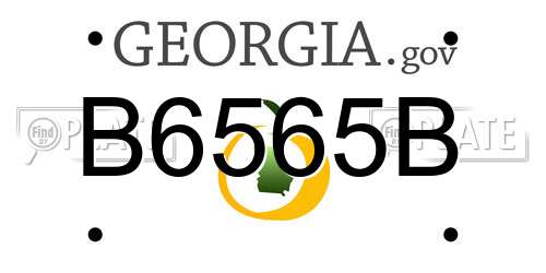 B6565B Georgia License Plate