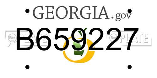 B659227 Georgia License Plate