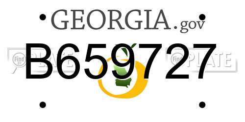 B659727 Georgia License Plate