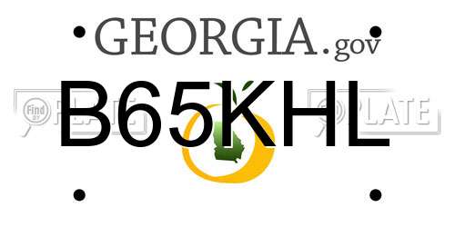 B65KHL Georgia License Plate
