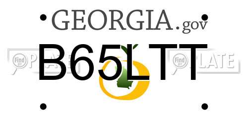 B65LTT Georgia License Plate