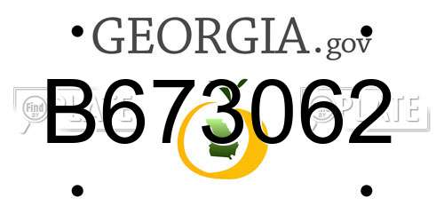 B673062 Georgia License Plate