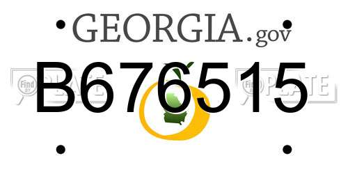 B676515 Georgia License Plate