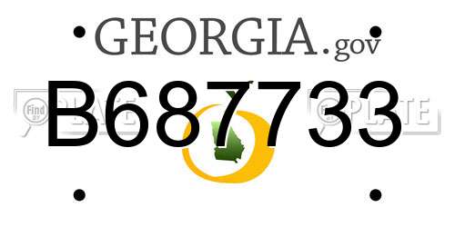 B687733 Georgia License Plate