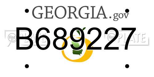 B689227 Georgia License Plate