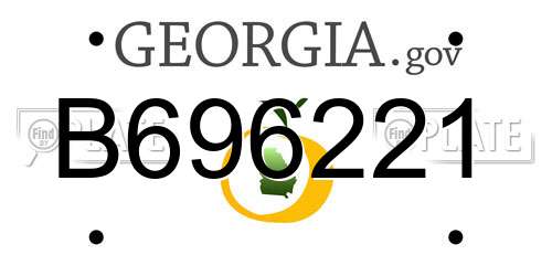 B696221 Georgia License Plate