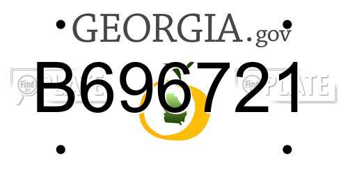 B696721 Georgia License Plate