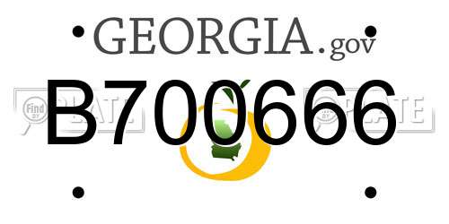 B700666 Georgia License Plate