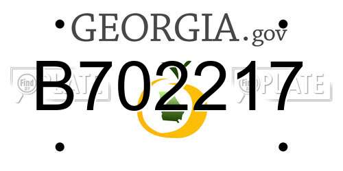 B702217 Georgia License Plate