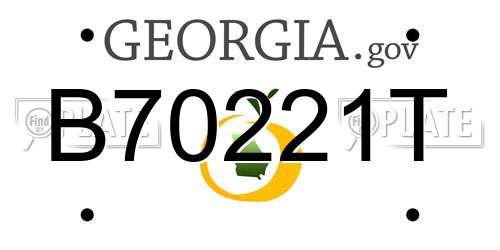 B70221T Georgia License Plate