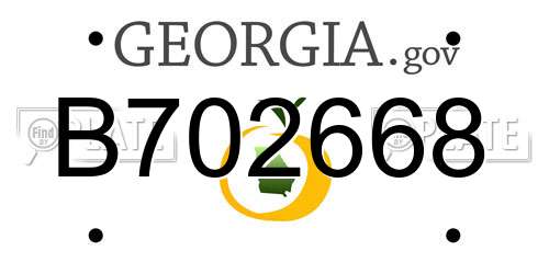 B702668 Georgia License Plate