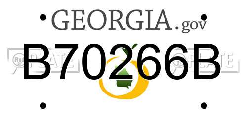 B70266B Georgia License Plate