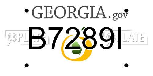 B7289I Georgia License Plate