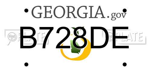 B728DE Georgia License Plate