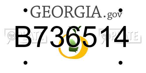 B736514 Georgia License Plate