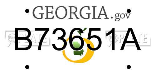 B73651A Georgia License Plate