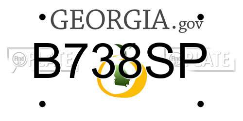 B738SP Georgia License Plate