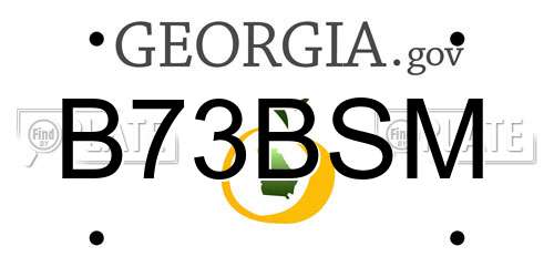 B73BSM Georgia License Plate