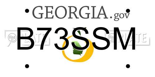 B73SSM Georgia License Plate